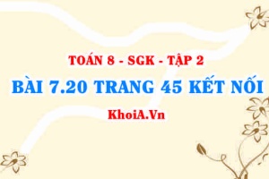 Bài 7.20 trang 45 Toán 8 Kết nối tri thức Tập 2